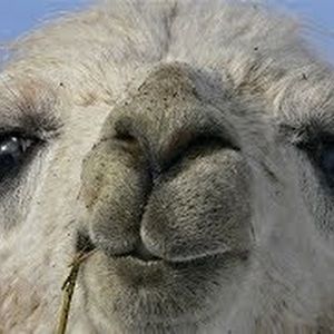 Meet your Posher, Gabriella